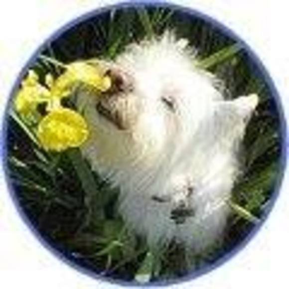 Meet your Posher, Robyn - Picture 1 of 1